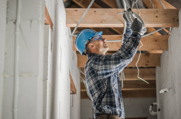 Best Electric Panel Repair  in Big Rock, IL